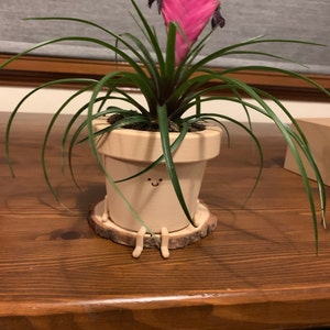Ruth added a photo of their purchase