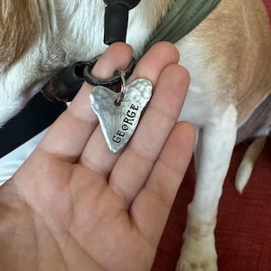 Dr. added a photo of their purchase