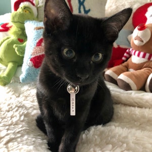 Amy added a photo of their purchase