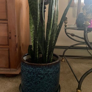 Justina added a photo of their purchase
