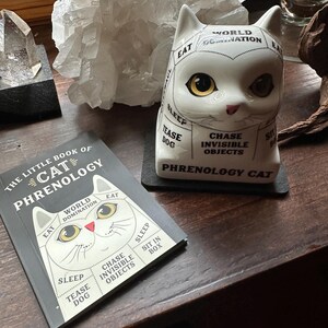 Cat or Dog Ceramic Phrenology Mini Bust With Wood Base - You Pick