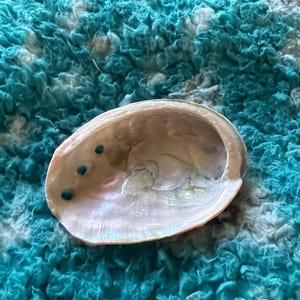 Roseanna added a photo of their purchase