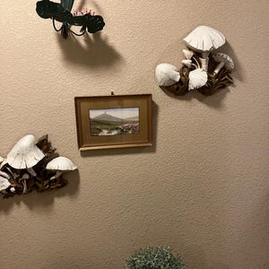 Judy added a photo of their purchase