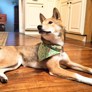 Elise heeft een foto van zijn/haar aankoop toegevoegd