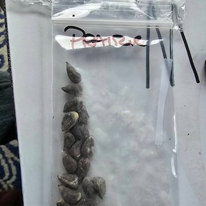 Zug ha añadido una foto de su compra