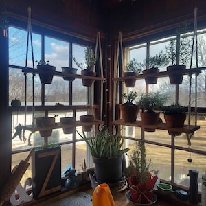 Supporto Piante Con Luce Crescita - Scaffale Fiori Interni Metallico