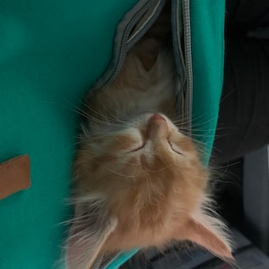 Ioana added a photo of their purchase