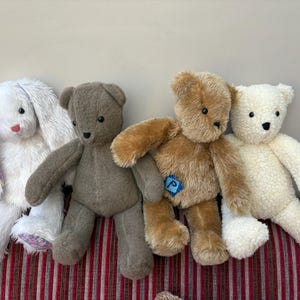 Ann added a photo of their purchase