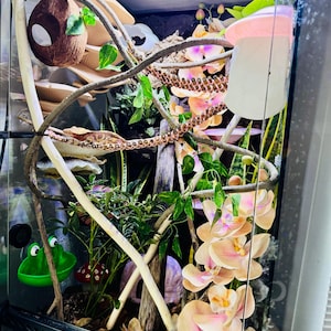 Margie added a photo of their purchase