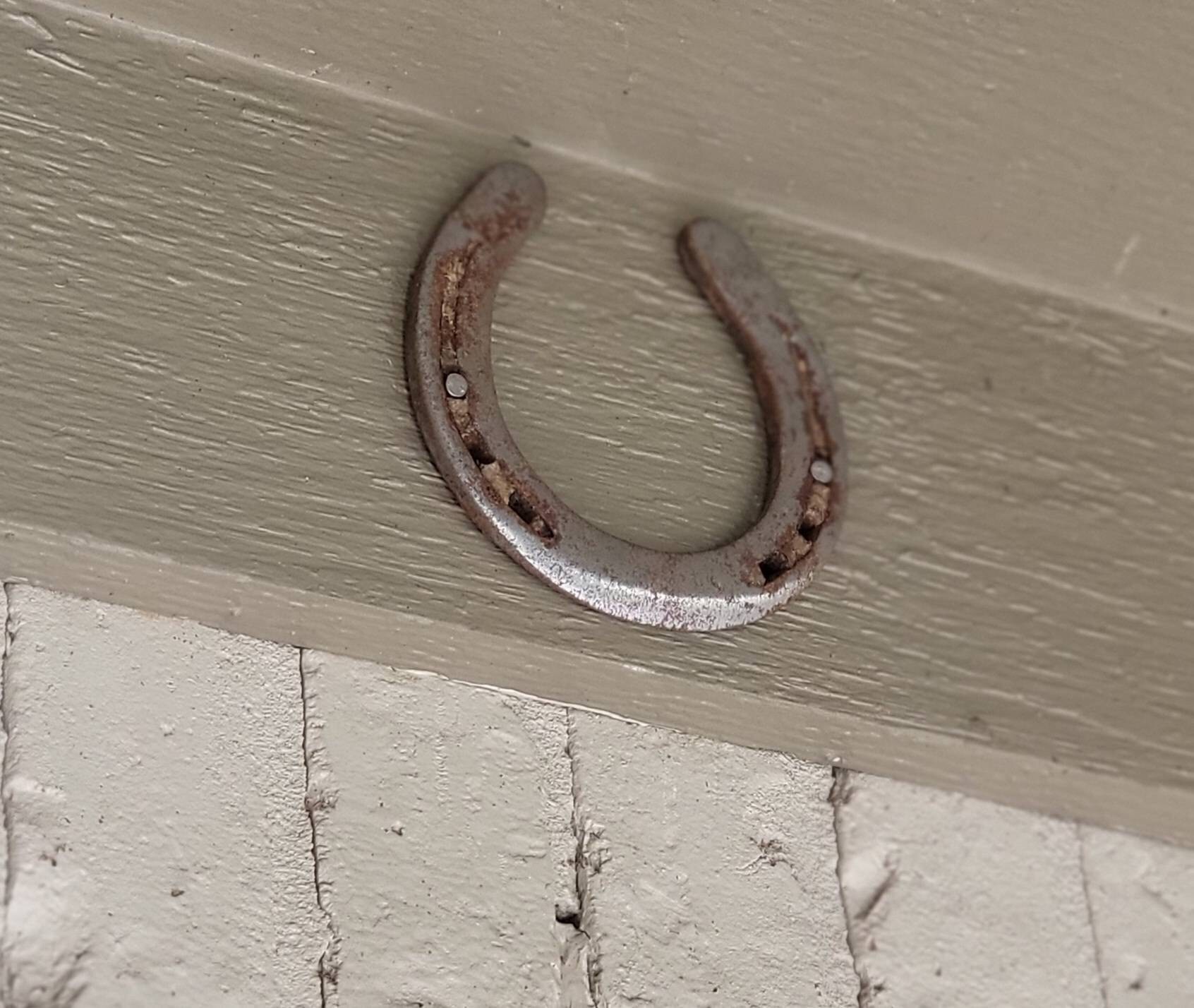 Authentic Used Horse Shoes-Flat Shoes-Assorted sizes-Rusted Shoes-Shiny Shoes-Cowboy Art-Farrier Horseshoes-Western Decor
