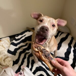 Seorin adicionaram uma foto da sua compra