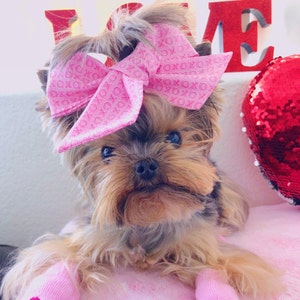 Ashley added a photo of their purchase