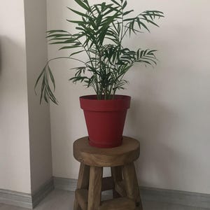 Anna added a photo of their purchase