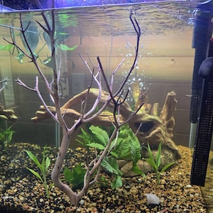 Pam added a photo of their purchase