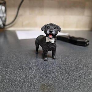 FRANCESCA added a photo of their purchase