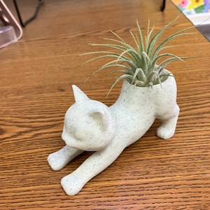 Stephanie added a photo of their purchase
