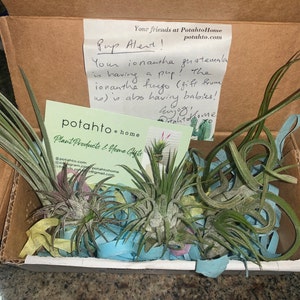 Sami added a photo of their purchase