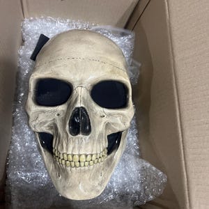 Alayn added a photo of their purchase