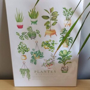 alexfenton07 added a photo of their purchase