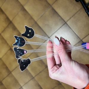 Mairead added a photo of their purchase