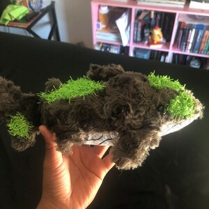 Sydney added a photo of their purchase