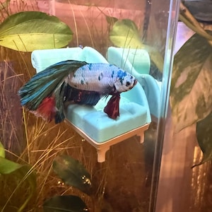 Karen added a photo of their purchase