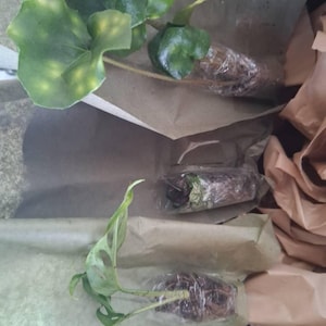 Teresa added a photo of their purchase