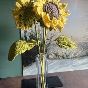 Ellie added a photo of their purchase
