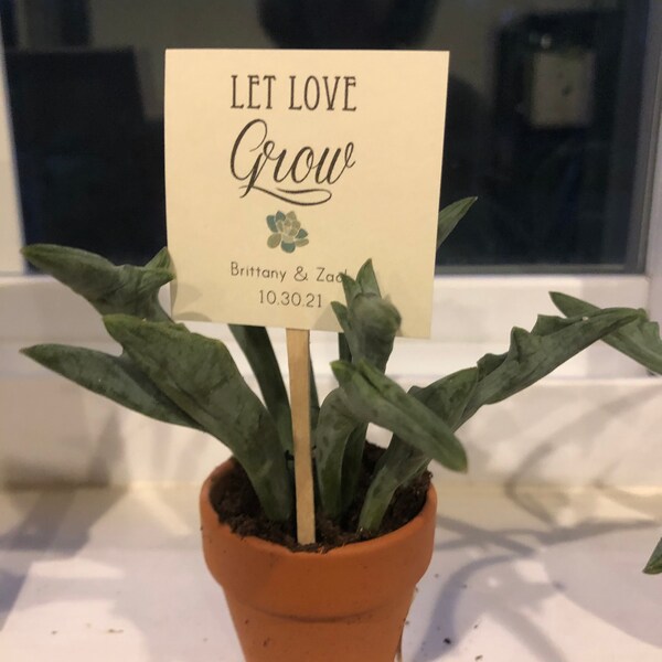 Geschenkanhänger 'Let Love Grow' – 50 Stück Mit Goldenem Band (1,8 M), Für Hochzeiten & Babypartys