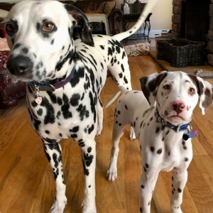 R added a photo of their purchase