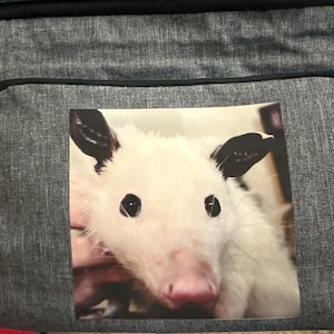 Jillibee added a photo of their purchase