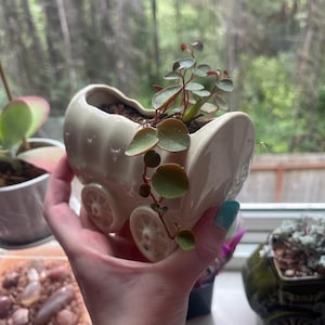 Susan added a photo of their purchase