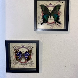 Mattie added a photo of their purchase