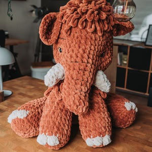 Lina added a photo of their purchase