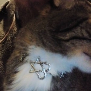 Robert Relic added a photo of their purchase