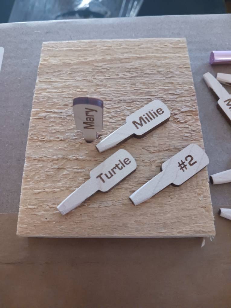 Your Name Cribbage Pegs, 3 Pegs Per Player, Custom Names/Words, Personalized Gift, Family Games, Wood Anniversary Gift, Fathers Day Gift