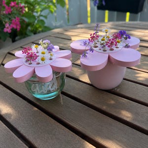 Silke added a photo of their purchase