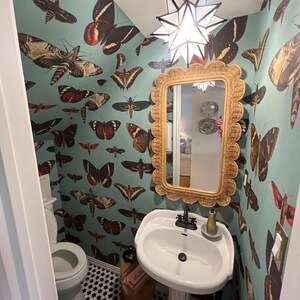 MollyKate added a photo of their purchase