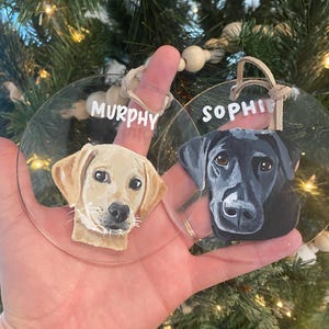 Rachel added a photo of their purchase
