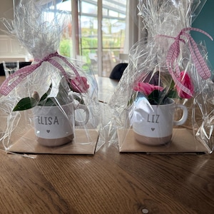 M.C. added a photo of their purchase