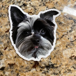 Sylvia added a photo of their purchase