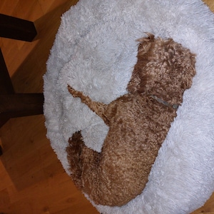 donna added a photo of their purchase
