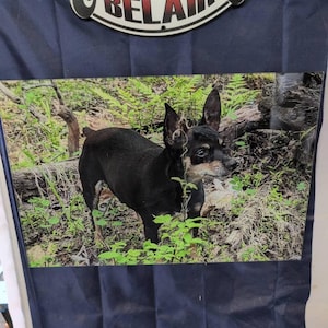 Patrick ha añadido una foto de su compra