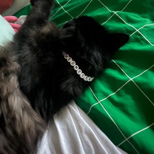 Amelia さんが購入した商品の写真を追加しました
