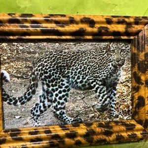 Leopard Print Picture Frame Maximalist Decor Solid Wood Frames