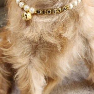 Pearl Dog Collars For Small Dogs 1pc Pet Artificial Pearl Necklace Cat Dog Pearl Collar Pet Pendant Cute Decoration Cat And Dog Accessories G 601099523688549 Dog Jewelry