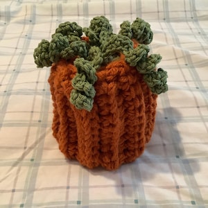 Laura added a photo of their purchase