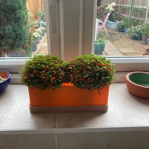 jill added a photo of their purchase