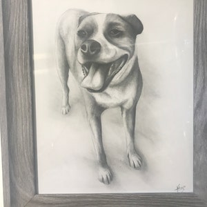 Sami added a photo of their purchase