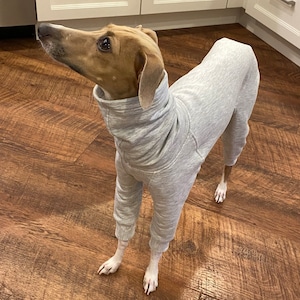 Jane added a photo of their purchase